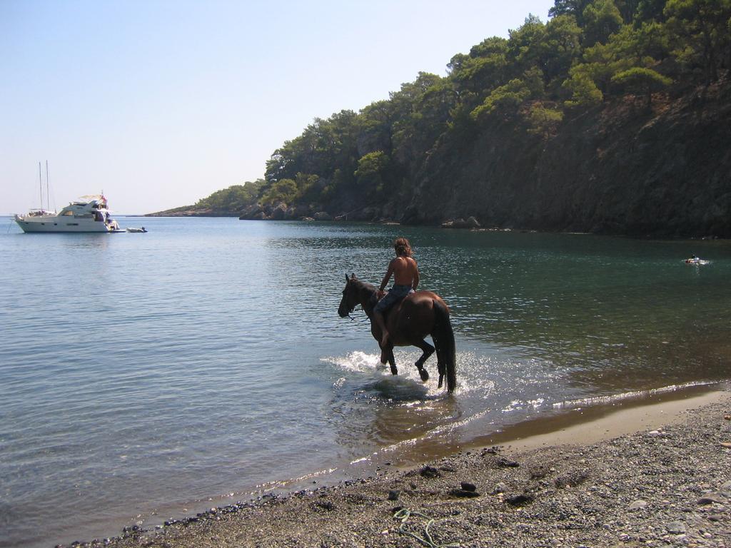 Hotel Berke Ranch&Nature Kemer Eksteriør billede
