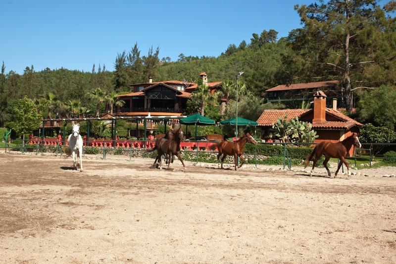 Hotel Berke Ranch&Nature Kemer Eksteriør billede